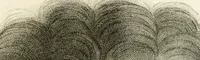 Picture 50 of 68 from Pompeiana : the topography, edifices and ornaments of Pompeii : the result of excavations since 1819 (1832), leaf 248