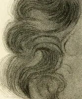 An illustration from Pompeiana : the topography, edifices and ornaments of Pompeii : the result of excavations since 1819 (1832)
