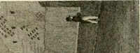 An illustration from Pompeiana : the topography, edifices and ornaments of Pompeii : the result of excavations since 1819 (1832)
