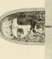 An illustration from Pompeiana : the topography, edifices, and ornaments of Pompeii (1852)