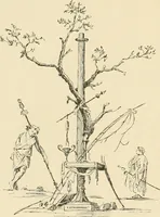 Picture 158 of 559 from Pompei : la ville, les moeurs, les arts (1899), leaf 173