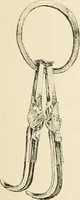 Picture 172 of 559 from Pompei : la ville, les moeurs, les arts (1899), leaf 192