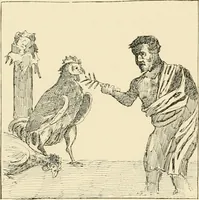 Picture 208 of 559 from Pompei : la ville, les moeurs, les arts (1899), leaf 213
