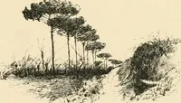 Picture 1 of 559 from Pompei : la ville, les moeurs, les arts (1899), leaf 24