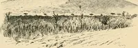 Picture 2 of 559 from Pompei : la ville, les moeurs, les arts (1899), leaf 25