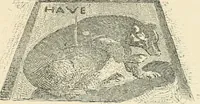Picture 335 of 559 from Pompei : la ville, les moeurs, les arts (1899), leaf 328