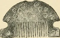 Picture 399 of 559 from Pompei : la ville, les moeurs, les arts (1899), leaf 383