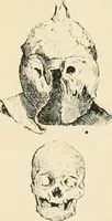 Picture 25 of 559 from Pompei : la ville, les moeurs, les arts (1899), leaf 44
