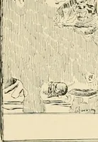 Picture 501 of 559 from Pompei : la ville, les moeurs, les arts (1899), leaf 464