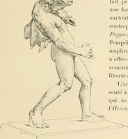 Picture 514 of 559 from Pompei : la ville, les moeurs, les arts (1899), leaf 474