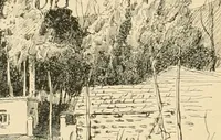 Picture 33 of 559 from Pompei : la ville, les moeurs, les arts (1899), leaf 51