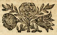 An illustration from Pompe natalizie celebrate nella felice nascita del real primogenito di Sauoia principe di Piemonte Vittorio Amedeo III : dall' augusta città di Torino, alli 24. giugno dell' anno M.DC.XC.IX (1699)