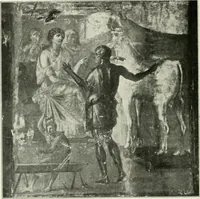 Picture 83 of 115 from Pompéi : histoire-vie privée (1910), leaf 143