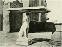 Picture 20 of 115 from Pompéi : histoire-vie privée (1910), leaf 62