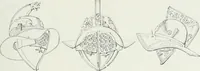 An illustration from Pompéi : vie publique (1906)