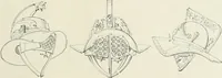 An illustration from Pompéi : vie publique (1910)