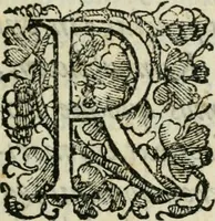 Picture 3 of 233 from Pontificvm Romanorvm effigies (1580), leaf 8