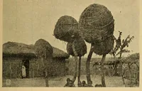 Picture 2 of 14 from Populações indígenas de Angola (1918), leaf 41