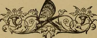 An illustration from Popular amusements for in and out of doors, embracing nine books in one volume (1902)