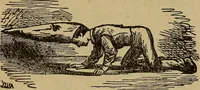 An illustration from Popular amusements for in and out of doors, embracing nine books in one volume (1902)