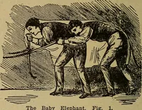 An illustration from Popular amusements for in and out of doors, embracing nine books in one volume (1902)