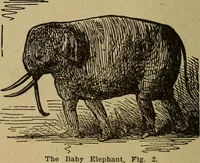 An illustration from Popular amusements for in and out of doors, embracing nine books in one volume (1902)
