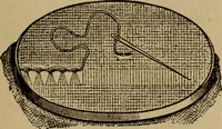 An illustration from Popular amusements for in and out of doors, embracing nine books in one volume (1902)