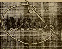 An illustration from Popular amusements for in and out of doors, embracing nine books in one volume (1902)