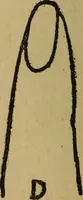 An illustration from Popular amusements for in and out of doors, embracing nine books in one volume (1902)