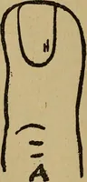 An illustration from Popular amusements for in and out of doors, embracing nine books in one volume (1902)