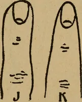 An illustration from Popular amusements for in and out of doors, embracing nine books in one volume (1902)