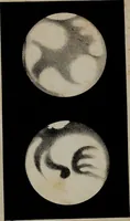 An illustration from Popular astronomy : a concise elementary treatise on the sun, planets, satellites and comets (1865)
