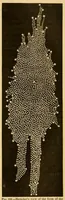 An illustration from Popular astronomy (1878)