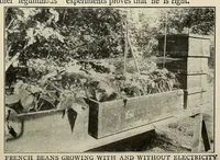 Picture 9 of 18 from Popular electricity in plain English (1908), leaf 313