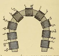 Picture 8 of 17 from Popular electricity in plain English (1908), leaf 300
