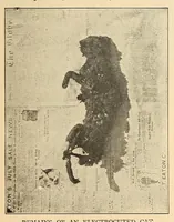 An illustration from Popular electricity in plain English (1908)