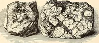 An illustration from A popular handbook and atlas of astronomy, designed as a complete guide to a knowledge of the heavenly bodies and as an aid to those possessing telescopes (1891)