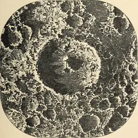 An illustration from A popular handbook and atlas of astronomy, designed as a complete guide to a knowledge of the heavenly bodies and as an aid to those possessing telescopes (1891)