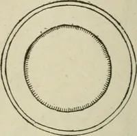 An illustration from Popular illustrated guide to Canadian coins, medals, &. &. = Guide populaire illustré des monnaies et médailles canadiennes, etc., etc. / by P.N. Breton (1912)