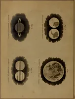 An illustration from Popular lessons in astronomy, on a new plan; (1833)