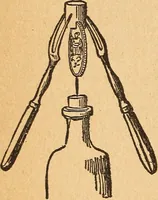 An illustration from Popular pastimes for amusement and instruction : being a standard work on games, plays, magic, and natural phenomena suitable for all occasions : containing parlor games, charming tableaux, tricks of magic, charades and conundrums, curious puzzles, phrenology and mind reading, palmistry or how to read the hand, humorous and pathetic recitations, dialogues, etc., etc. : including the delightful art of entertaining, the whole forming a charming treasury of pastimes for the home, public schools and academies, lodges, social gatherings, Sunday schools, etc., etc. (1901)