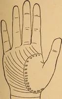 An illustration from Popular pastimes for amusement and instruction : being a standard work on games, plays, magic, and natural phenomena suitable for all occasions : containing parlor games, charming tableaux, tricks of magic, charades and conundrums, curious puzzles, phrenology and mind reading, palmistry or how to read the hand, humorous and pathetic recitations, dialogues, etc., etc. : including the delightful art of entertaining, the whole forming a charming treasury of pastimes for the home, public schools and academies, lodges, social gatherings, Sunday schools, etc., etc. (1901)