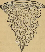 An illustration from Popular pastimes for field and fireside; (1867)