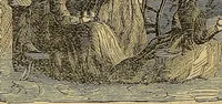 An illustration from Popular pastimes for field and fireside; (1867)