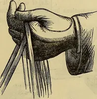 Picture 95 of 665 from The Popular recreator. A key to in-door and out-door amusements .. (1873), leaf 104