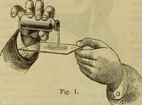 Picture 97 of 665 from The Popular recreator. A key to in-door and out-door amusements .. (1873), leaf 105