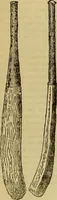 Picture 105 of 665 from The Popular recreator. A key to in-door and out-door amusements .. (1873), leaf 113