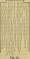 Picture 125 of 665 from The Popular recreator. A key to in-door and out-door amusements .. (1873), leaf 130