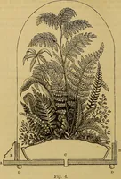 Picture 128 of 665 from The Popular recreator. A key to in-door and out-door amusements .. (1873), leaf 133