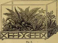 Picture 129 of 665 from The Popular recreator. A key to in-door and out-door amusements .. (1873), leaf 133